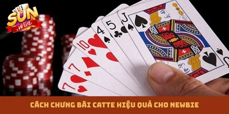 Cách chưng bài catte hiệu quả cho newbie