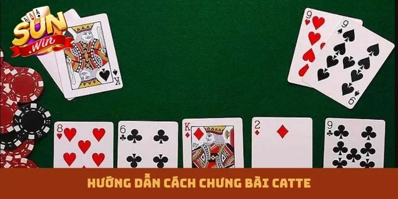 cách chưng bài catte
