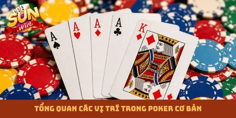 Tổng quan các vị trí trong Poker cơ bản