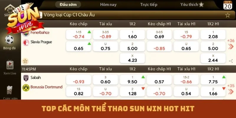 Top các môn thể thao Sun win hot hit